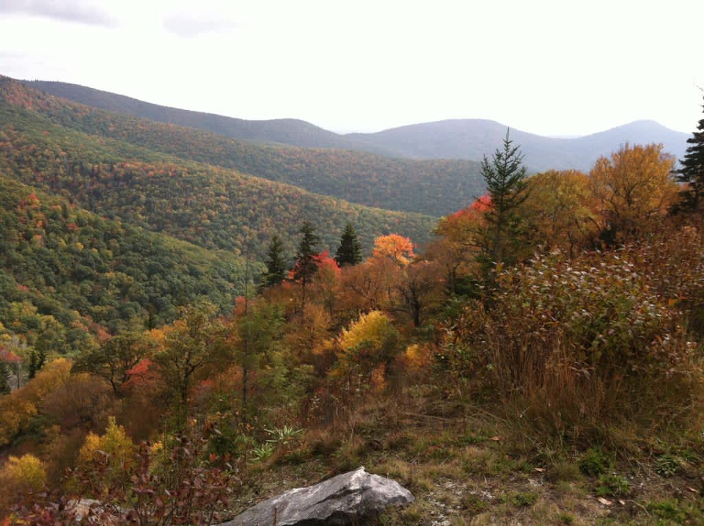 View from the parkway in the Fall