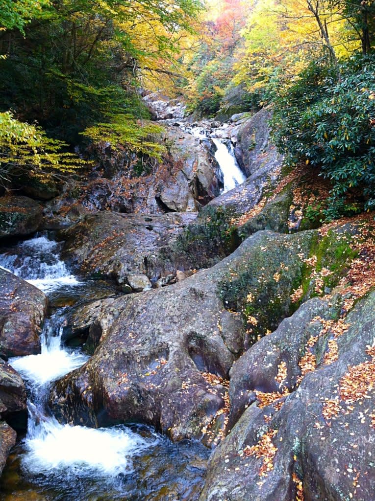 Waterfall West Fork Pigeon River NC