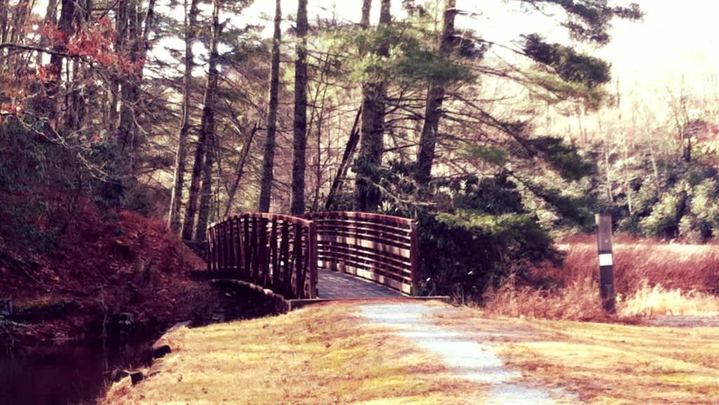 Bridge to Malonee Trail crosses the stream feeding into Balsam Lake NC