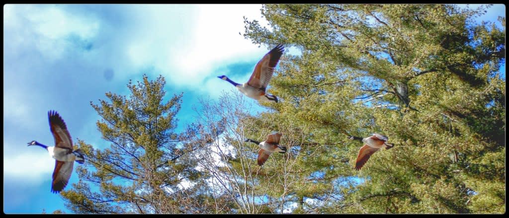 icy Silver Run Falls in Cashiers NC