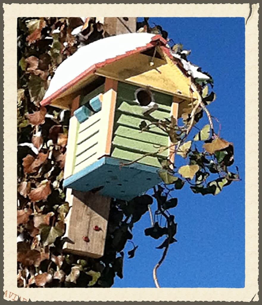 Snow covered bird house on a snowy day at Lake Glenville