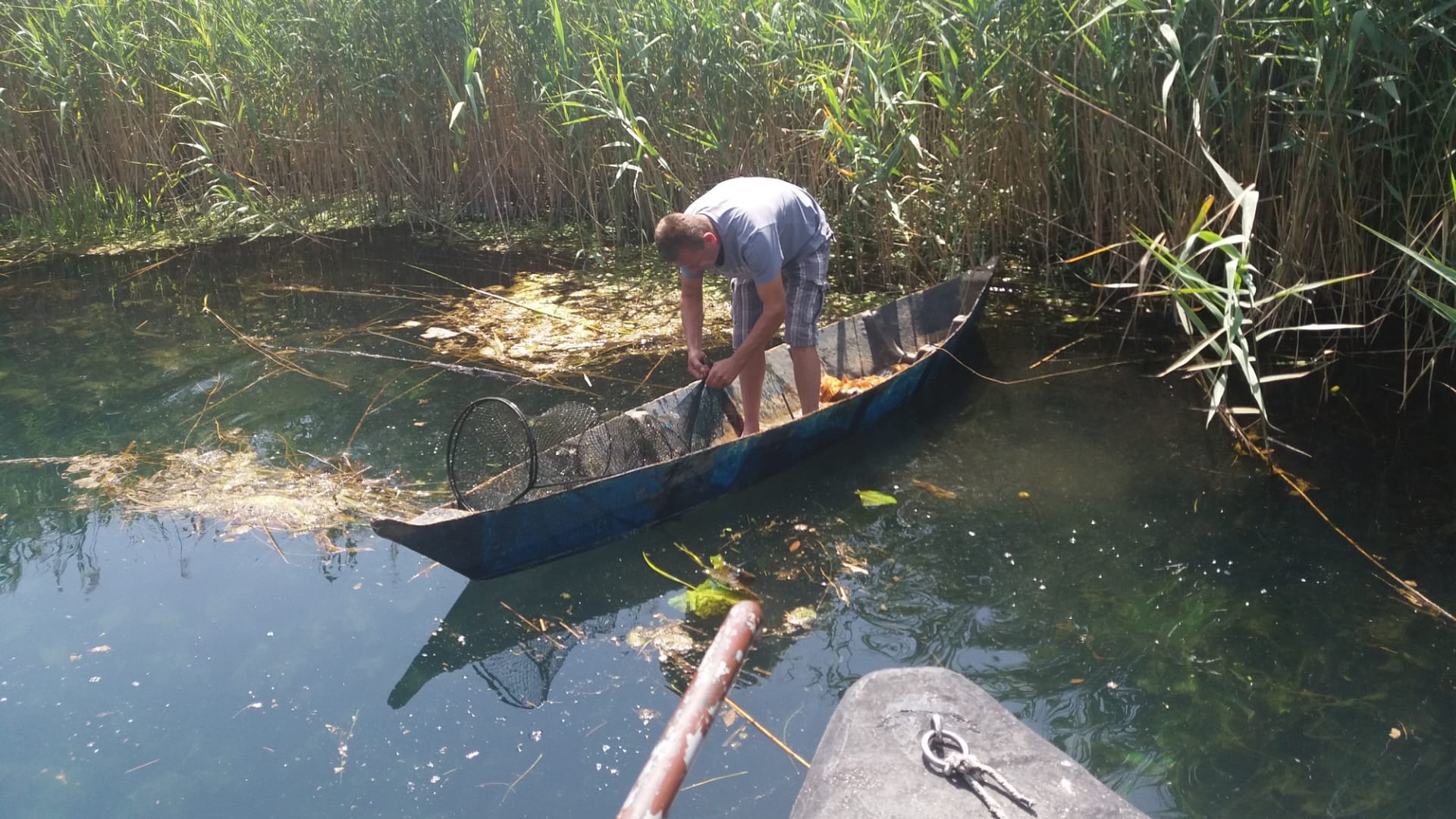 Aalfang im Neretva (Foto: HRT)