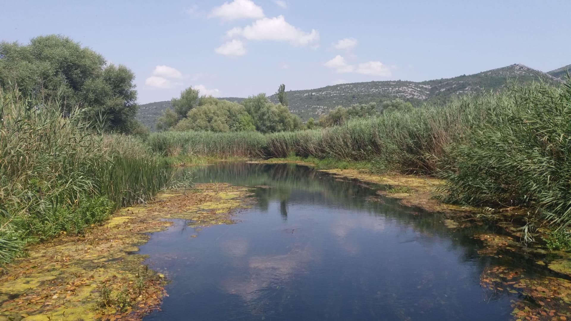 Das Fluss Norin (Foto: HRT)