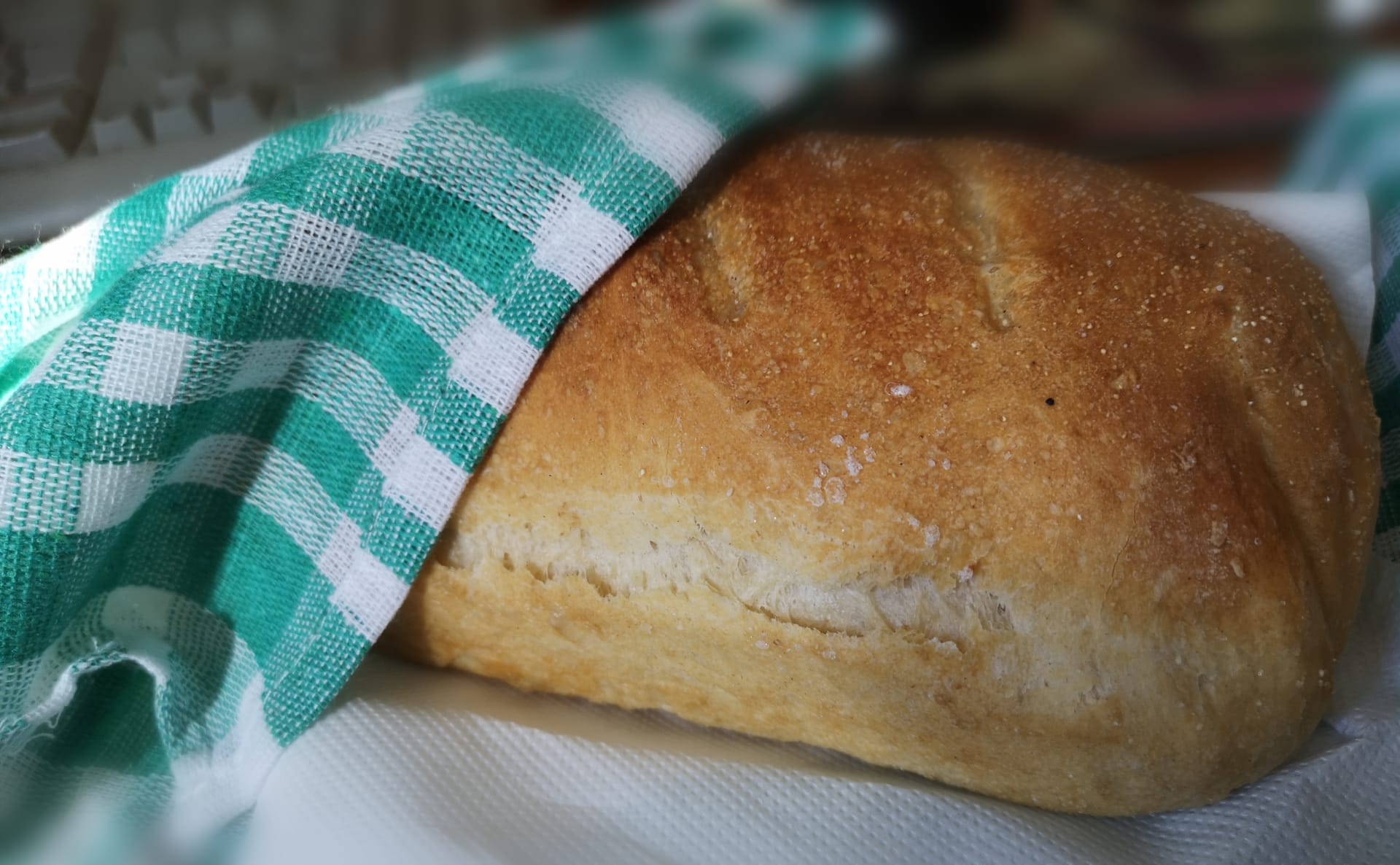 Pečeni domaći kruh (Foto: Slavica Štefić)