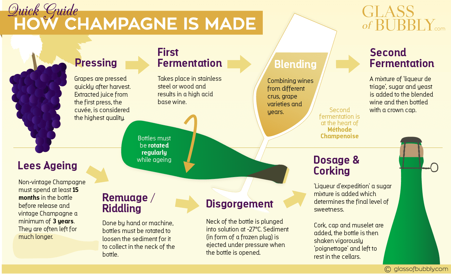 Шампанское в багаж. Шампанское инфографика. Инфографика игристое вино. Бутылка шампанского инфографика. How Champagne made.