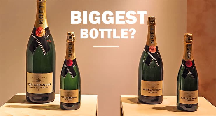 whats the biggest champagne bottle size glass of bubbly magnums size