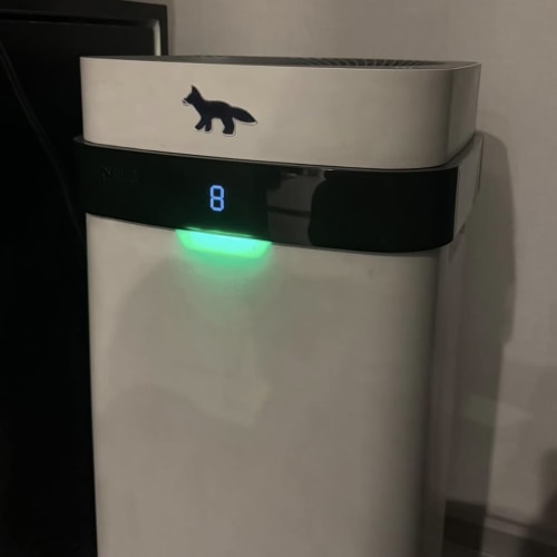 A Washable-Filter Air Purifier, 5 Years In and Never Given Us Trouble รูปที่ 2