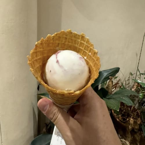 Birds of Paradise Gelato: Our Favorite Ice Cream Shop in Singapore รูปที่ 3