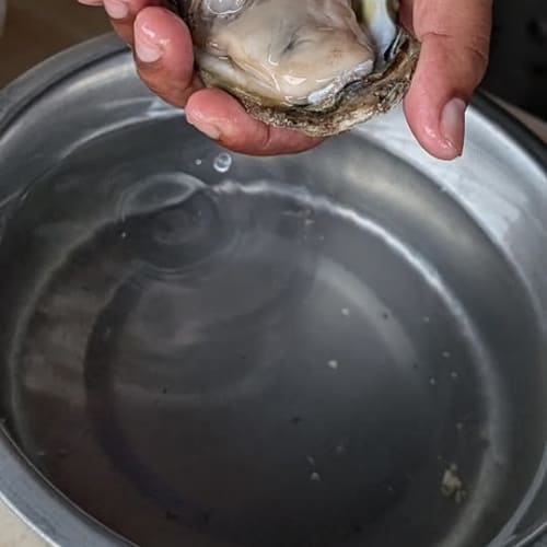 Genuinely Live, Fresh Oysters on Koh Samui รูปที่ 1