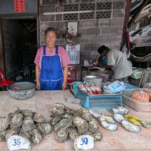 Genuinely Live, Fresh Oysters on Koh Samui รูปที่ 2