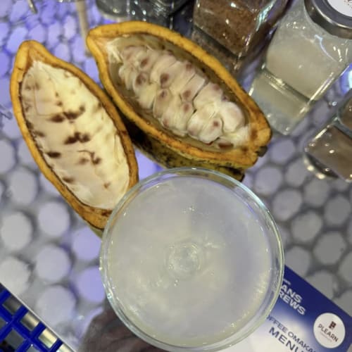 PLEARN's Chocolate Omakase at True Digital Park รูปที่ 2