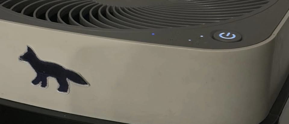 A Washable-Filter Air Purifier, 5 Years In and Never Given Us Trouble