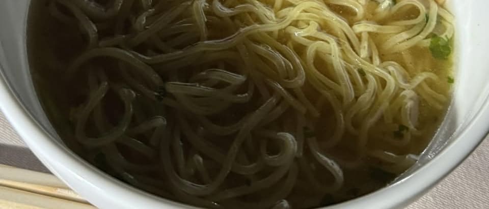 JAL's In-Flight Ramen: So Good We Finished the Whole Bowl