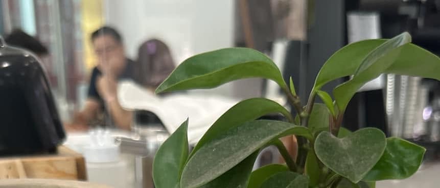Minimal Plant Pot with Stand for a Cafe-Style Home