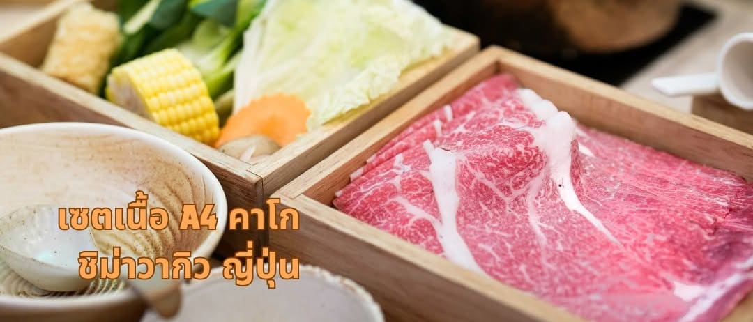 Sloth Sukiyaki & Shabu Bar