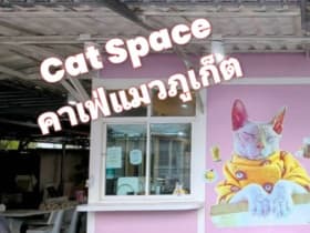 Cat Space Cafe Phuket คาเฟ่แมวภูเก็ต ทาสแมวต้องมามุง