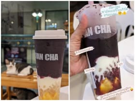 JIAN CHA Tea 见茶山 เจี้ยนชา