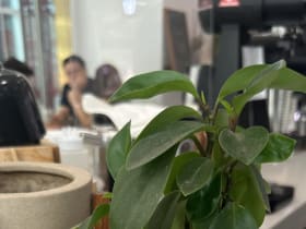 กระถางต้นไม้มินิมอลพร้อมขาตั้ง แต่งบ้านแนวคาเฟ่