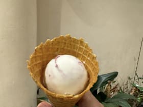Birds of Paradise Gelato ร้านไอติมโปรดที่สิงคโปร์