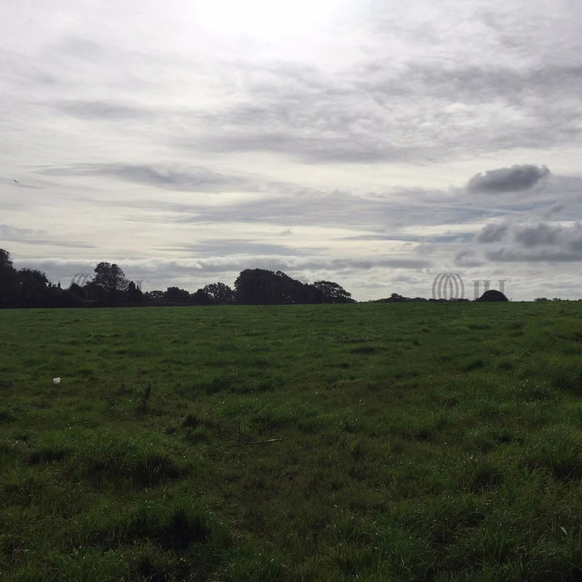 Appley Road