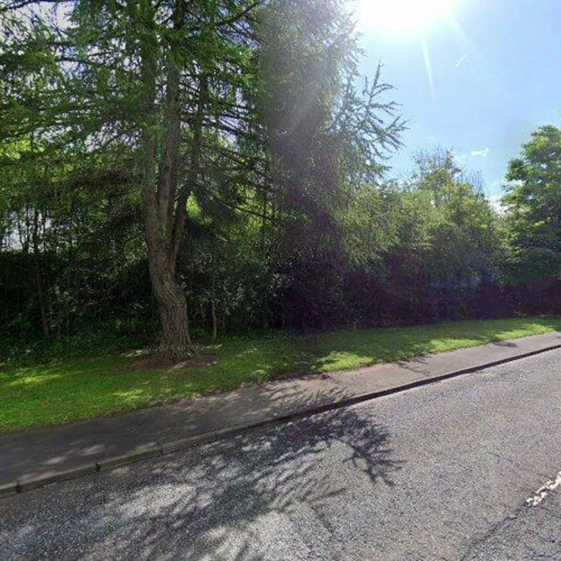 Chapel Wood - Street 5