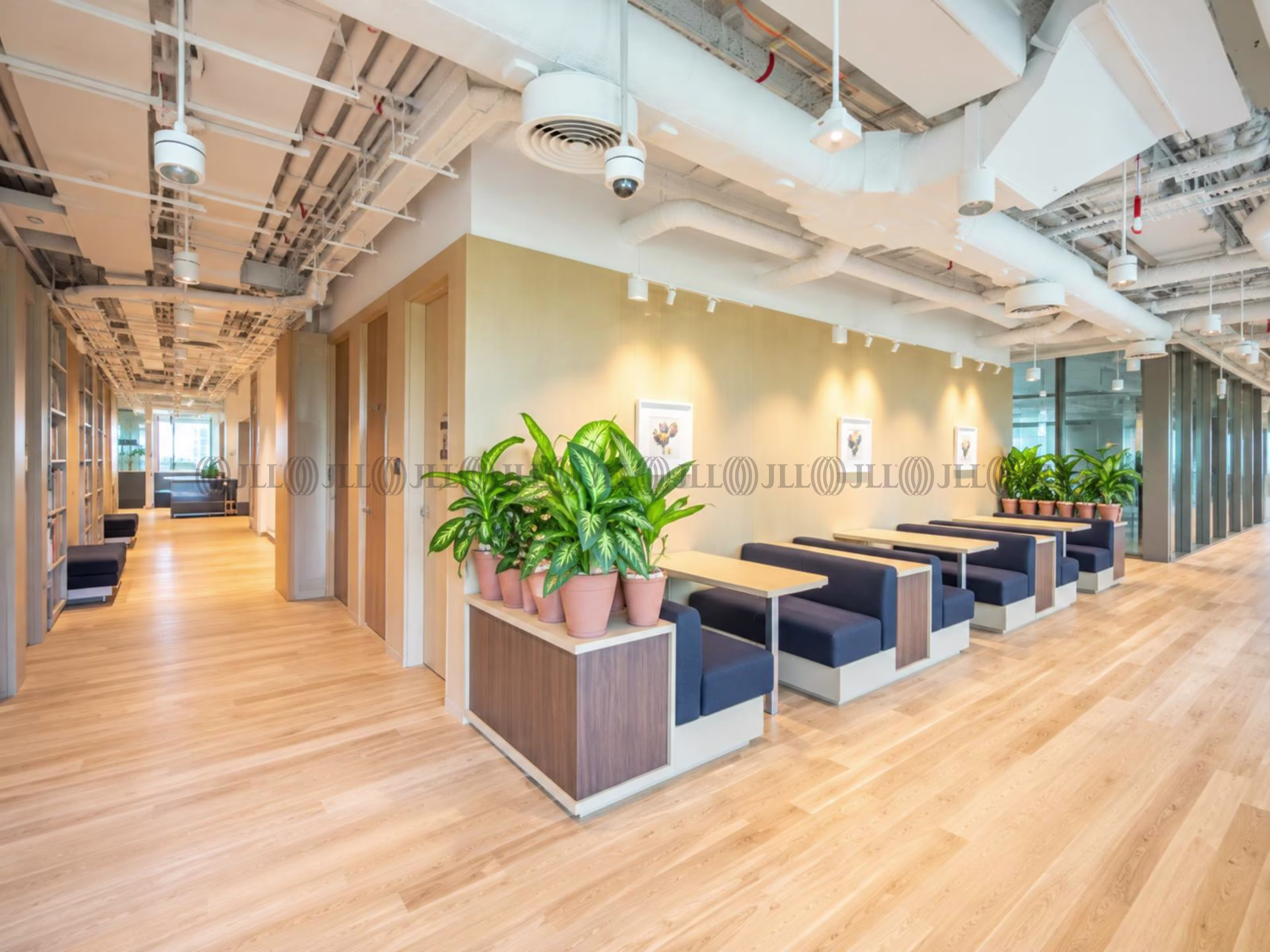WeWork