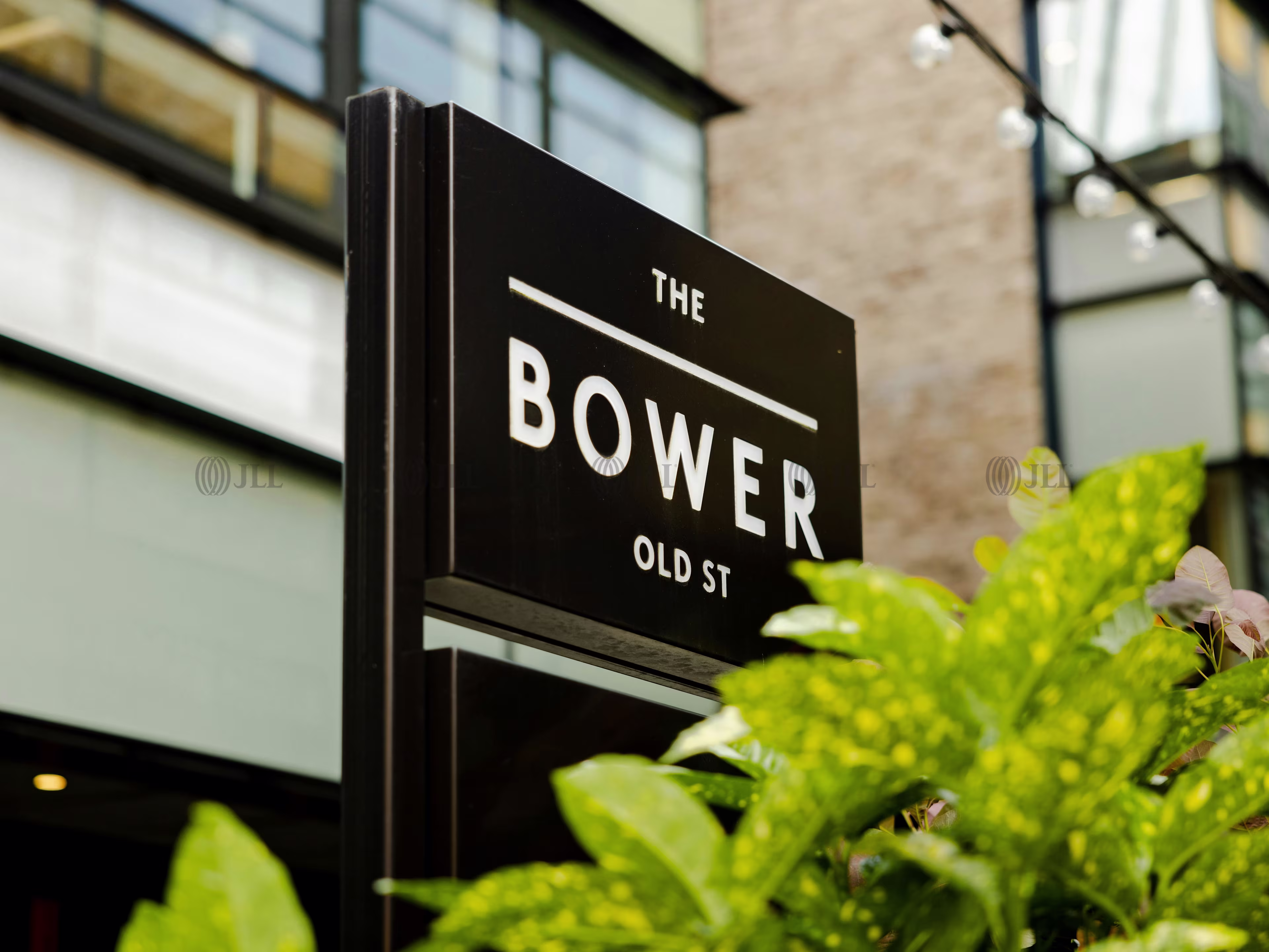 The Studio at The Bower