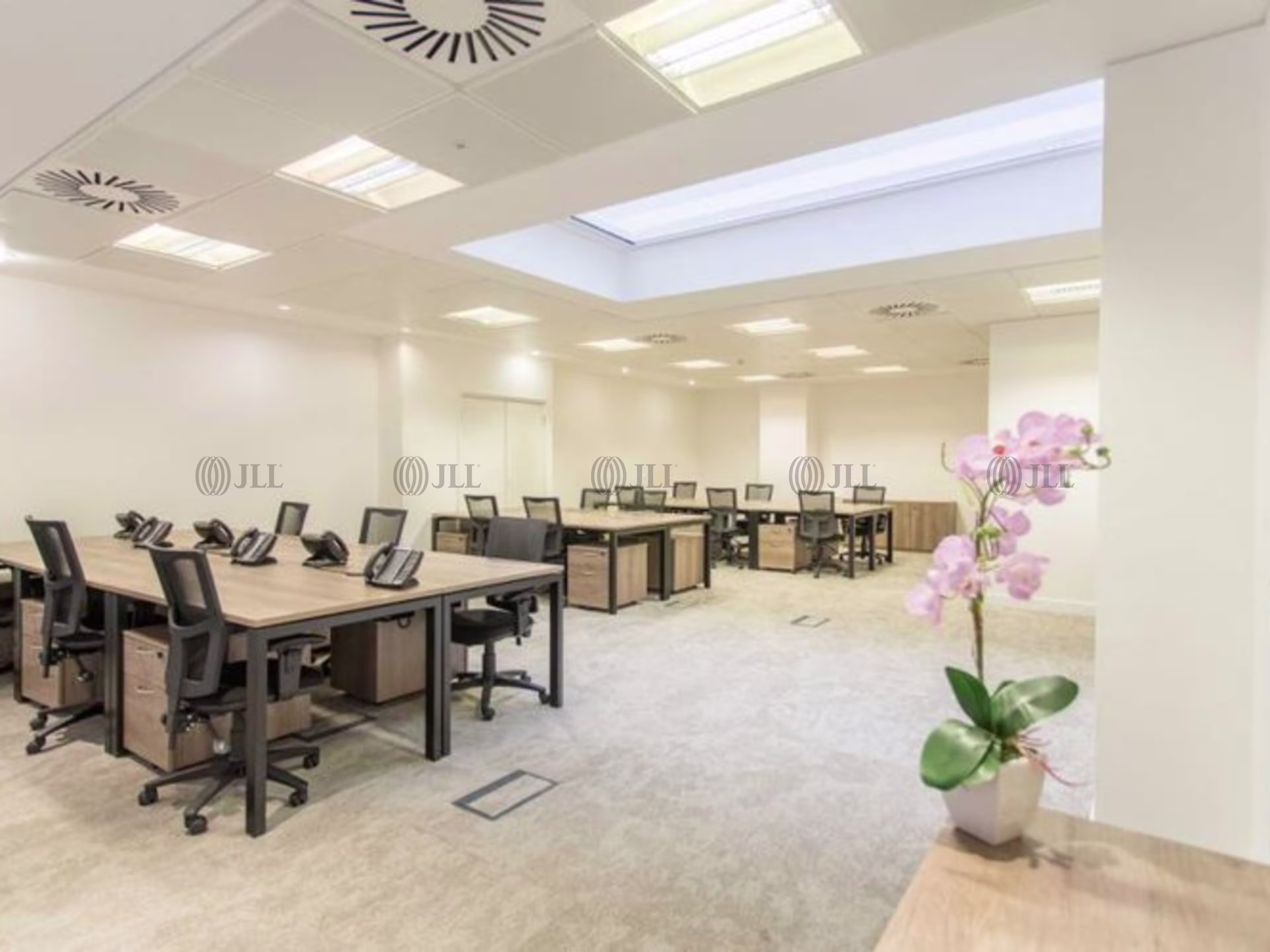 Cavendish Square