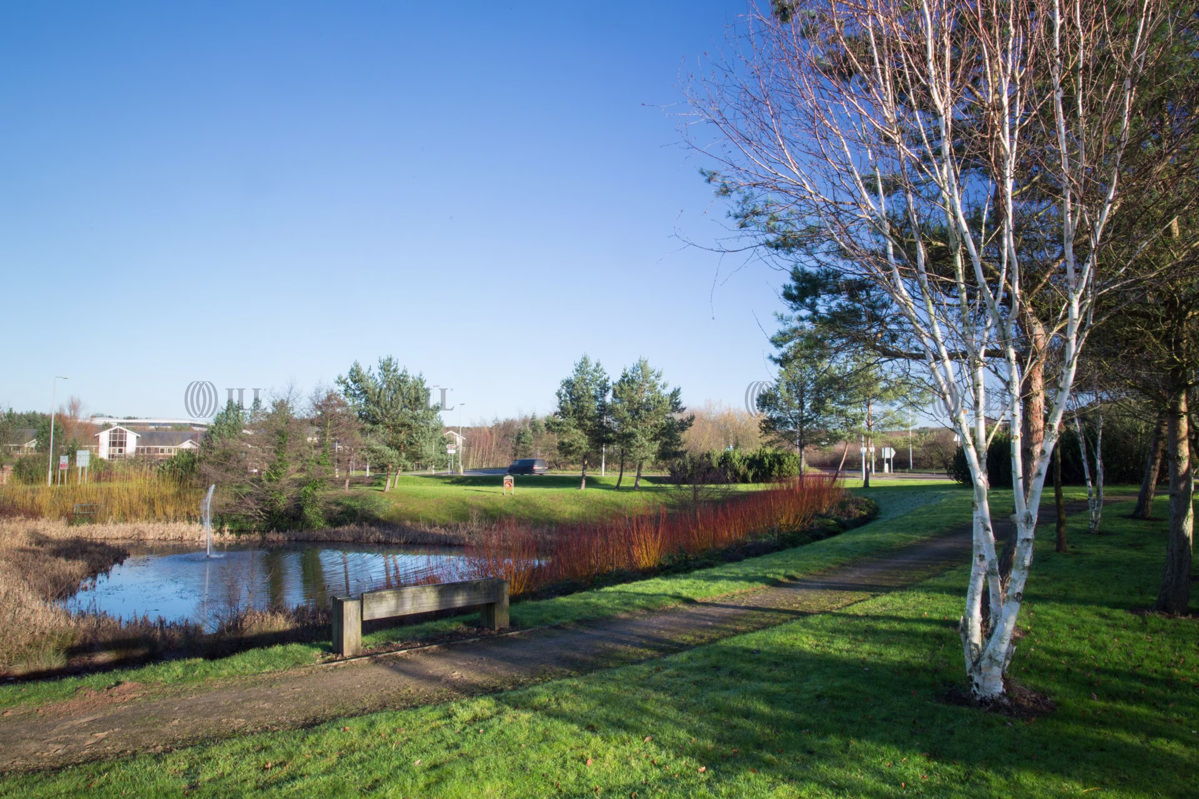 Lake View Drive