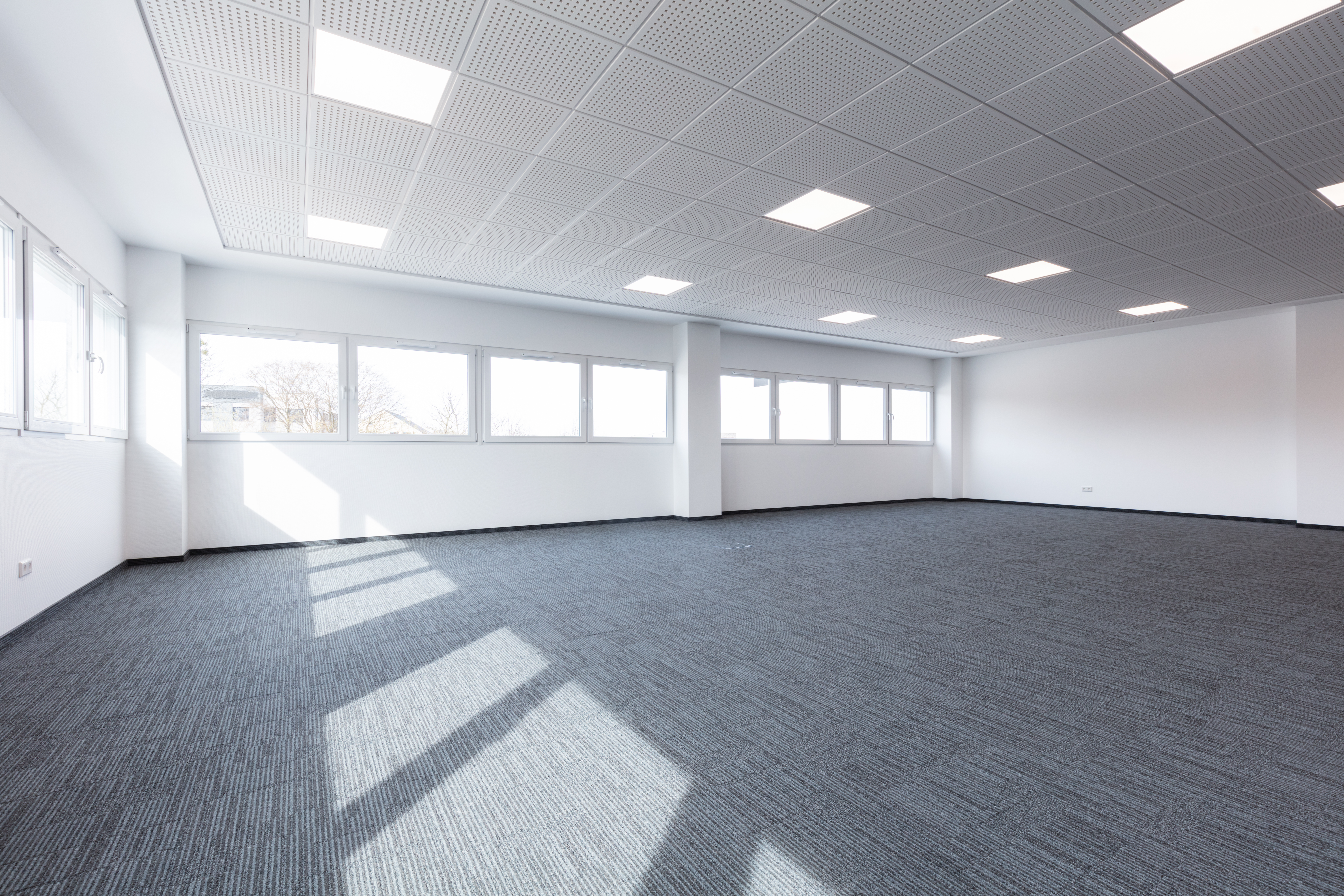 Office Types and Formats