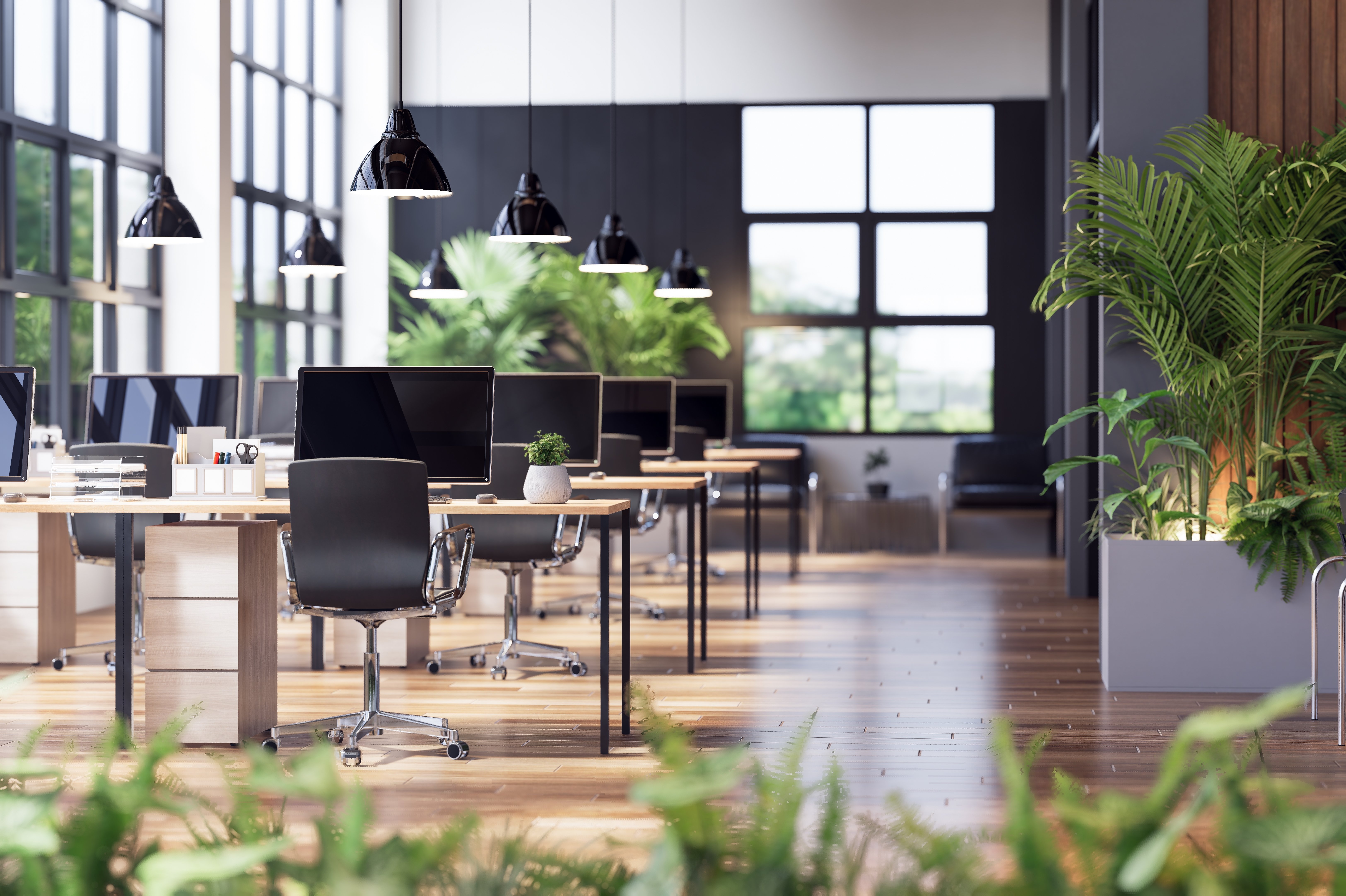 Small office relaxation area
