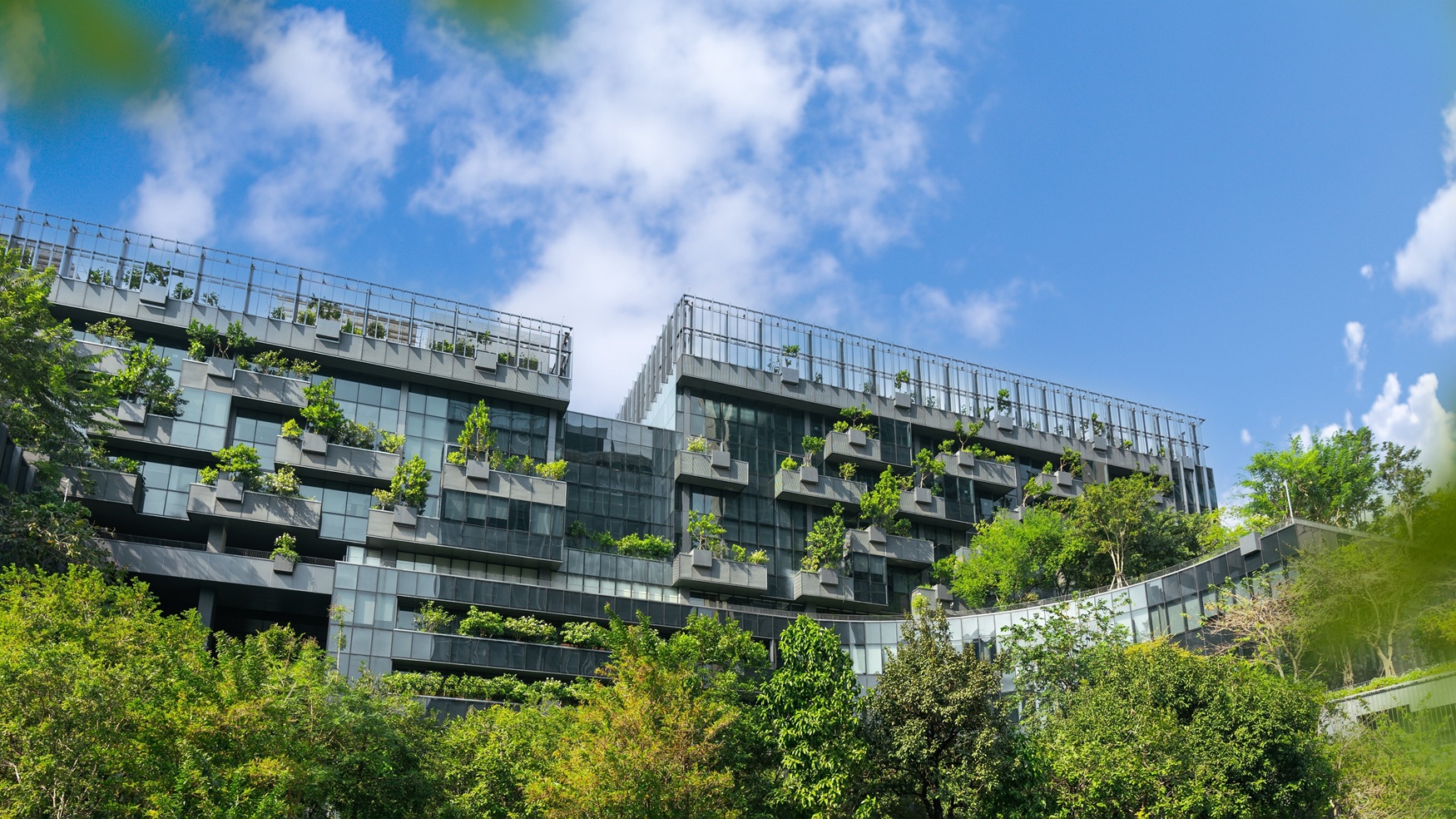 Why green offices are important for modern organizations