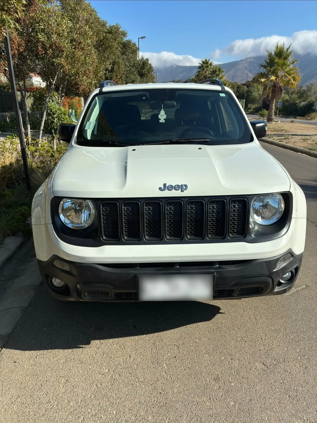 Jeep Renegade Otra año 2019
