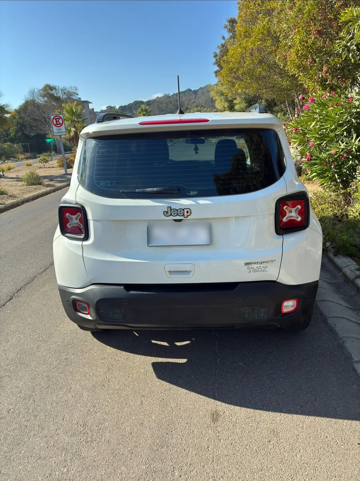 Jeep Renegade Otra año 2019
