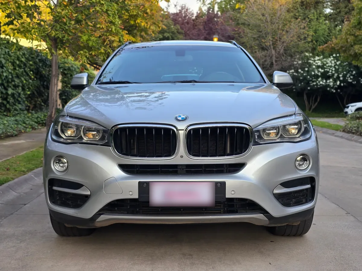 BMW X6 3.0 Xdrive 35i At 4x4 año 2017