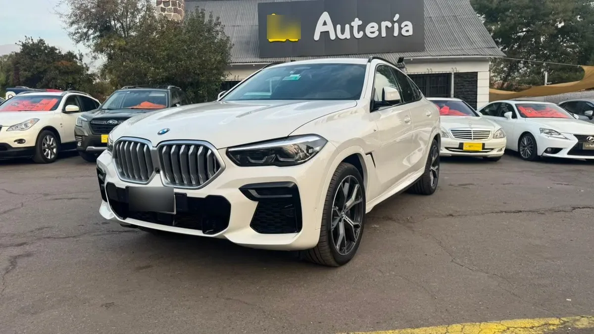 BMW X6 Xdrive 30d 4x4 5p 3.0 Aut año 2023