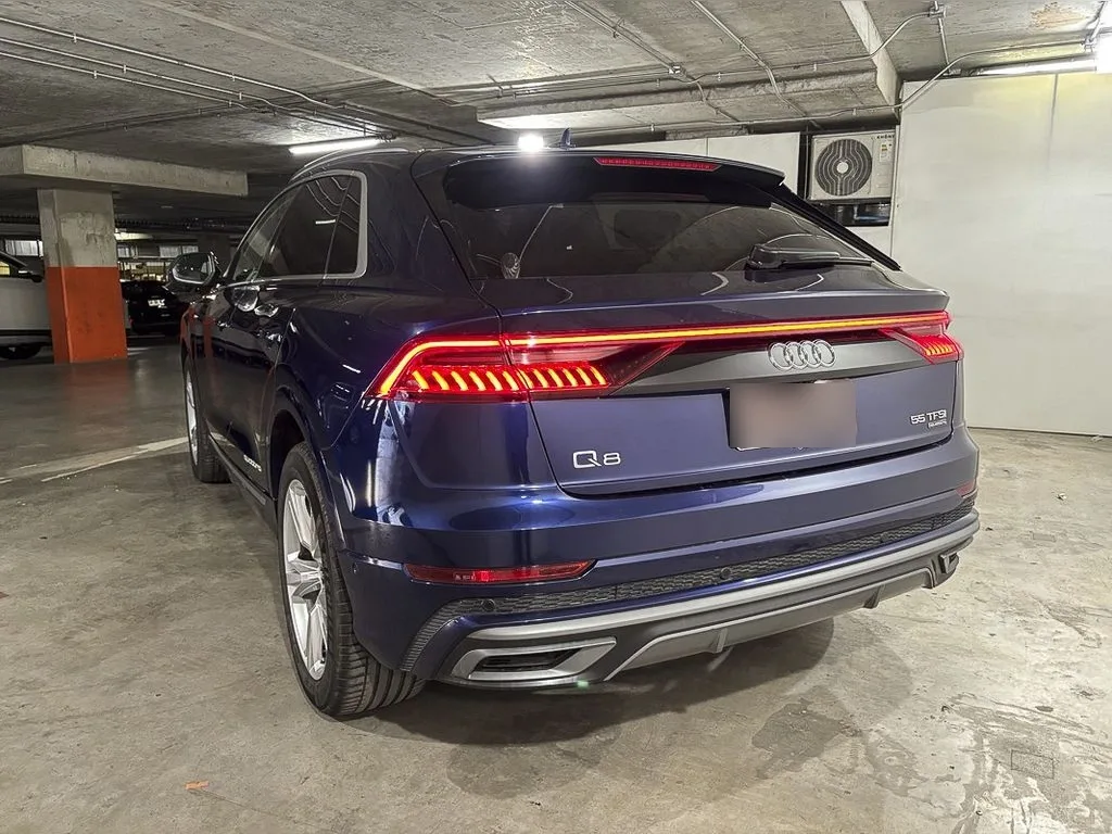 Audi Q8 Q8 55 Tfsi Sport año 2023