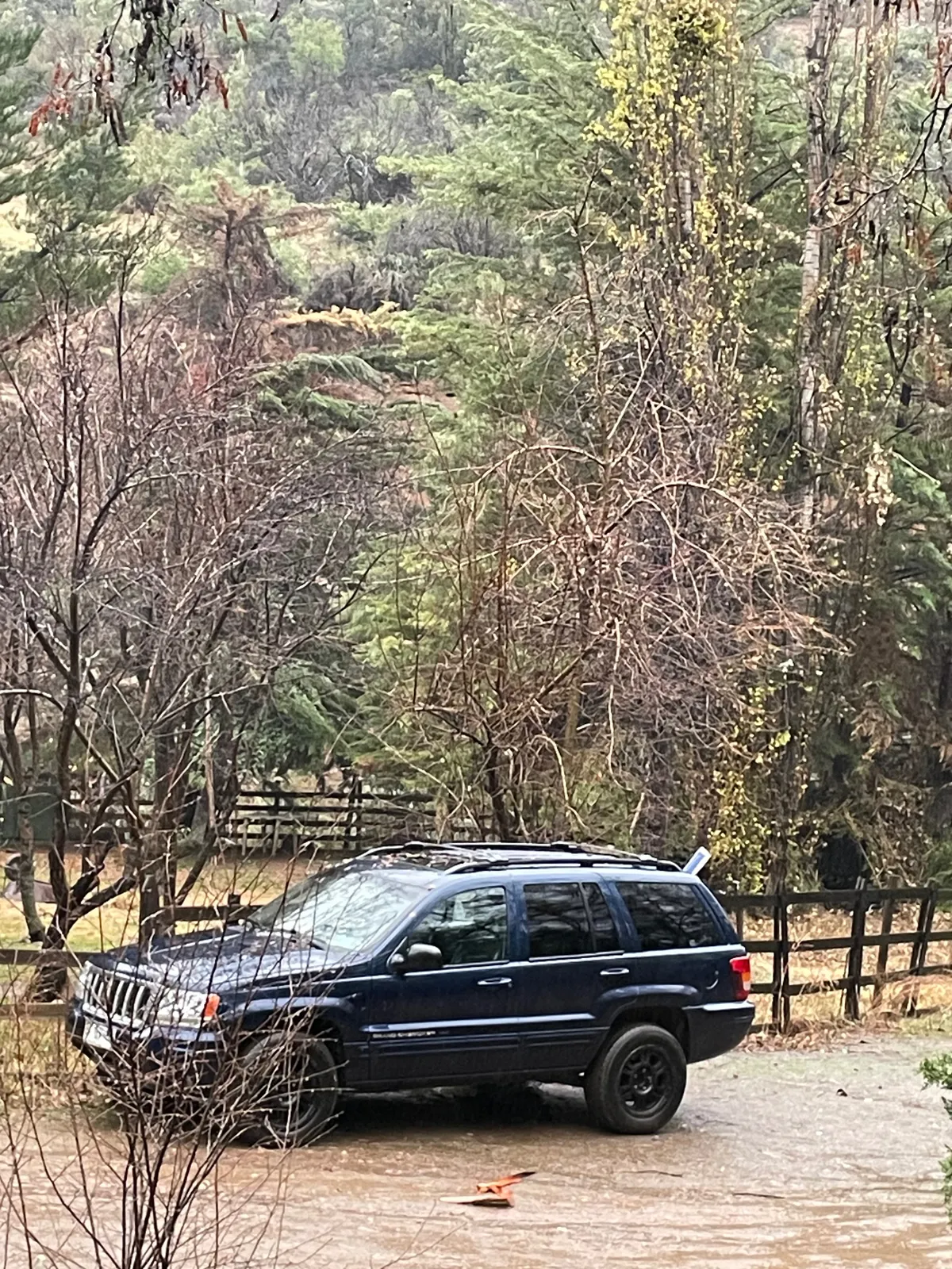 JEEP GRAND CHEROKEE Otra año 2004