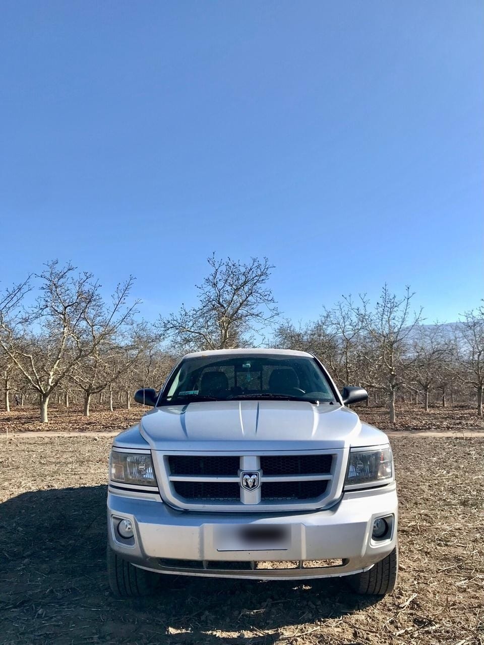 DODGE DAKOTA 3.7 Crew Cab Sxt L At año 2011