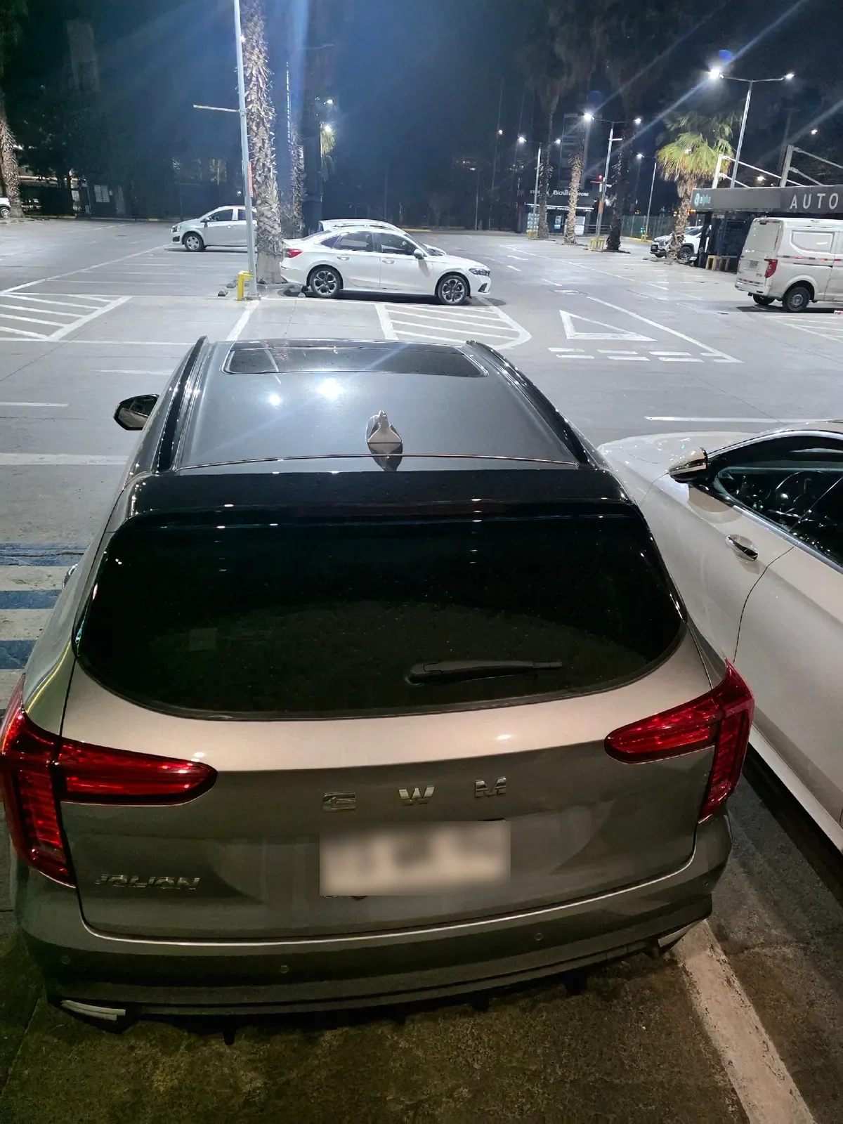 Great Wall Haval Otra año 2025