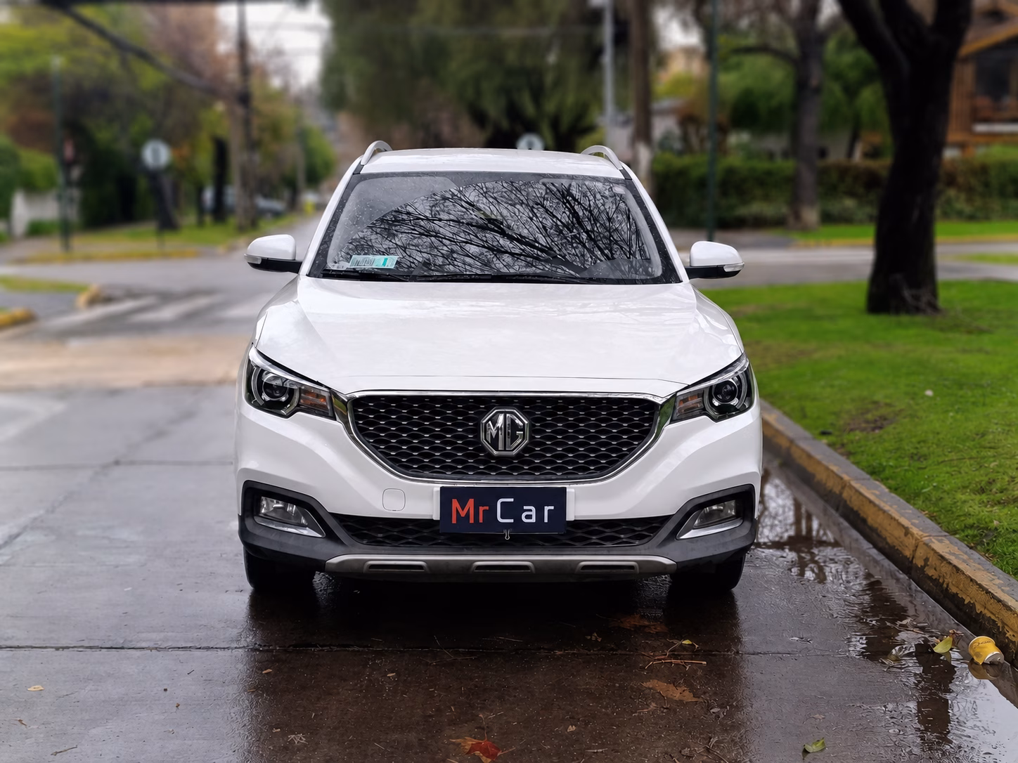 Mg Std año 2023