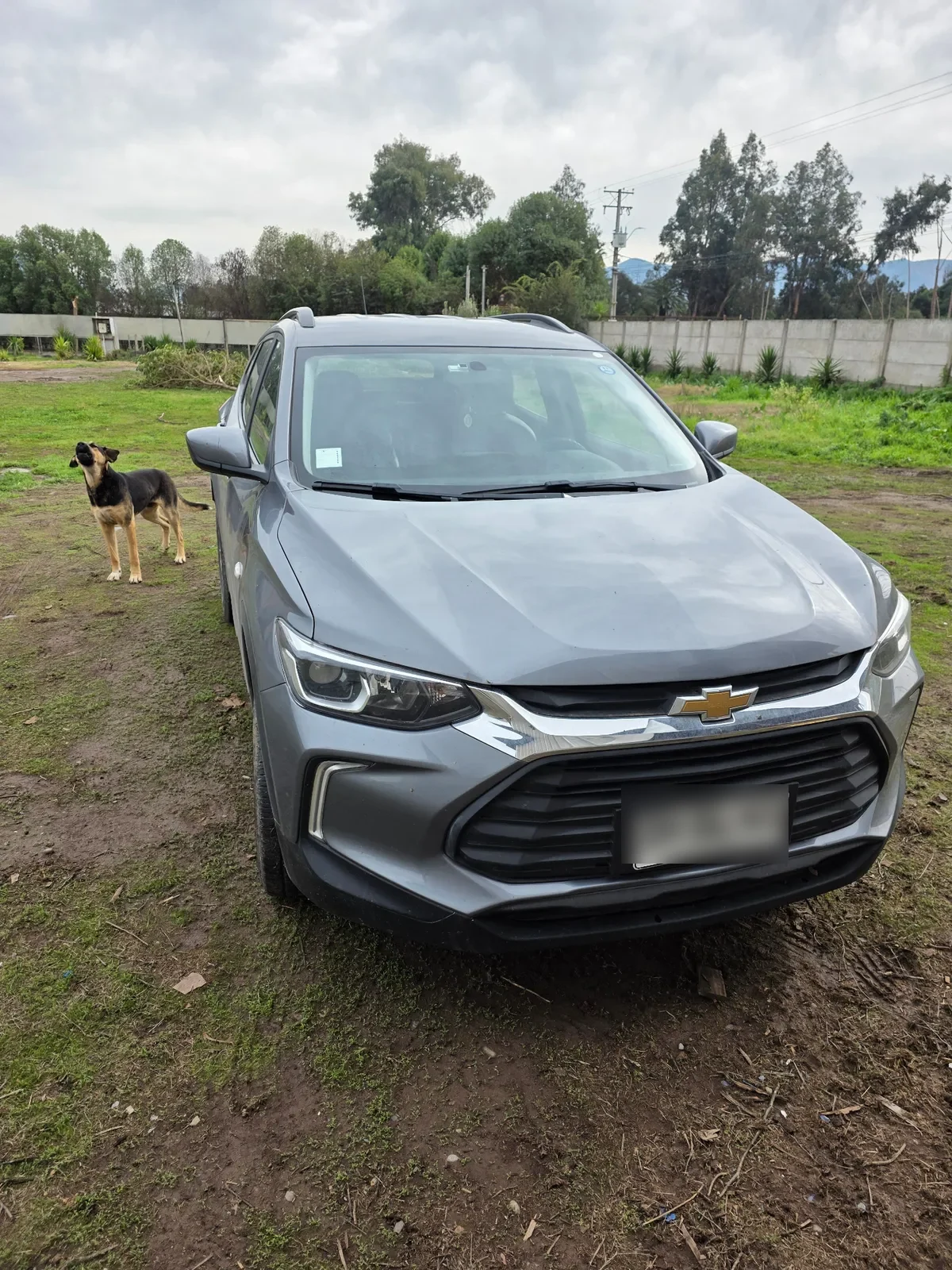 Chevrolet Tracker 1.2 Ltz P At año 2023