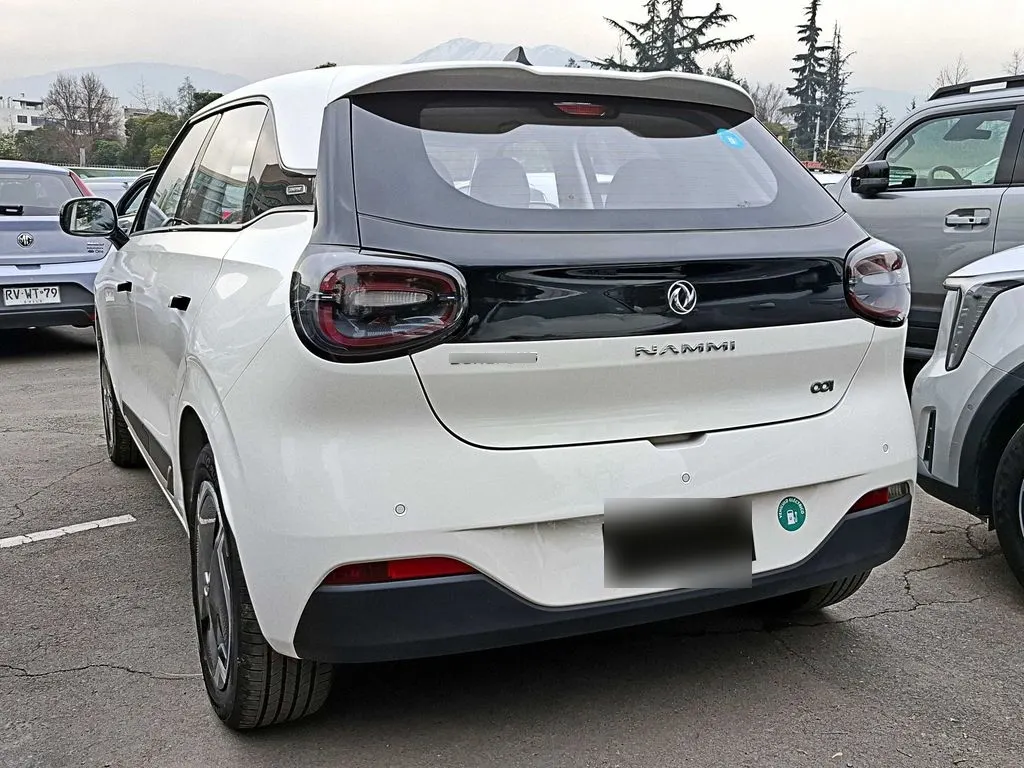 Dongfeng Nammi 001 At año 2026