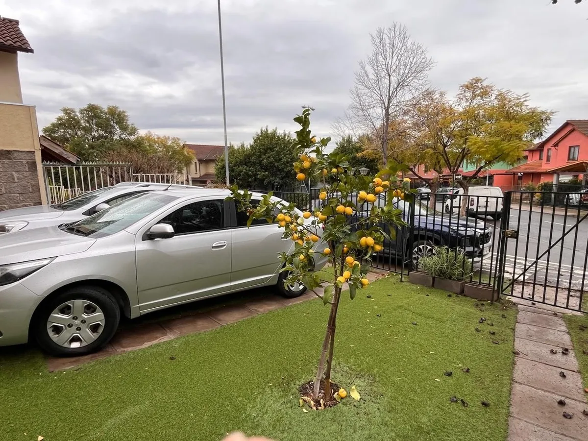 CHEVROLET COBALT 1.8 Ltz Mt año 2017