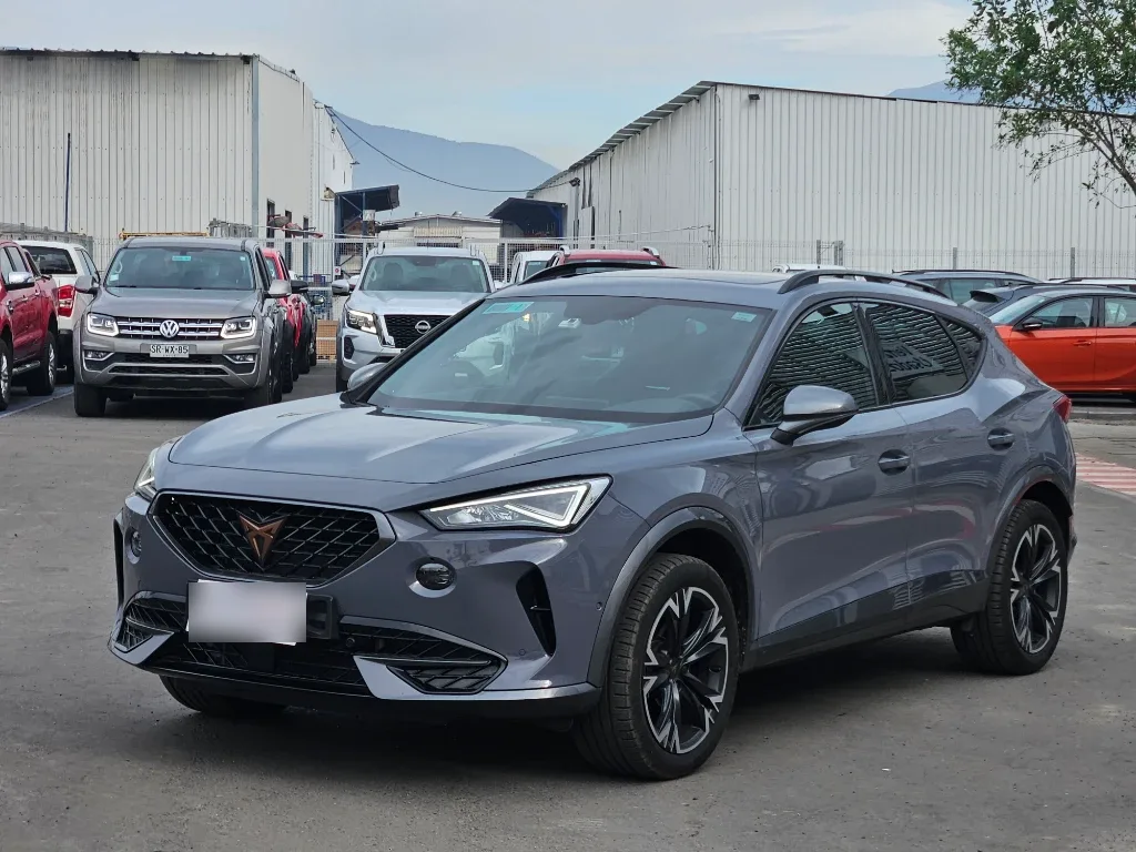 Cupra Formentor 2.0 Tsi 190 Hp año 2024