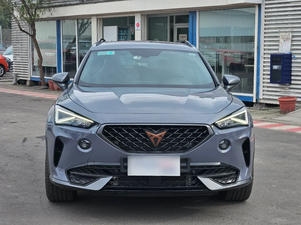 Cupra Formentor 2.0 Tsi 190 Hp año 2024