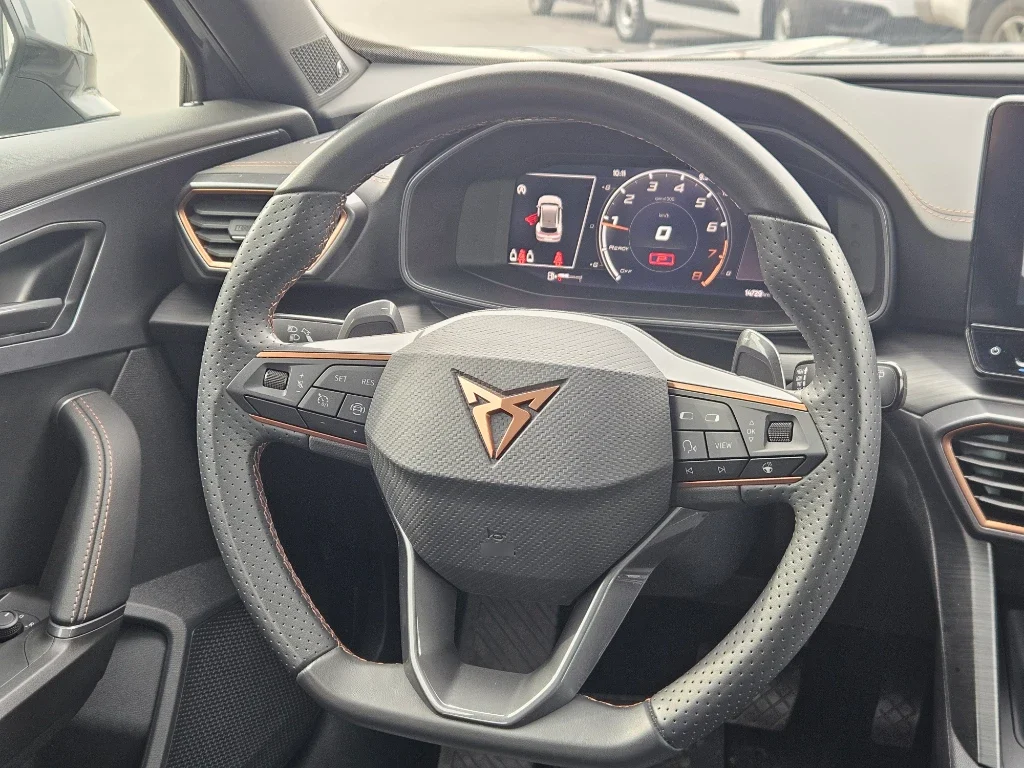 Cupra Formentor 2.0 Tsi 190 Hp año 2024