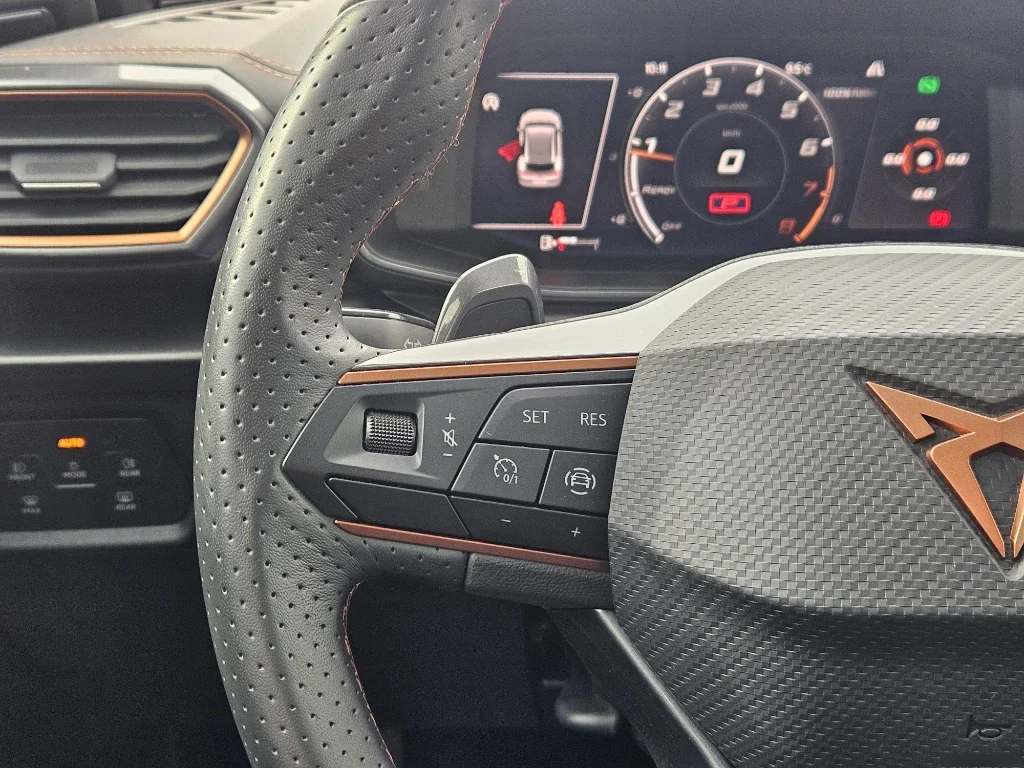 Cupra Formentor 2.0 Tsi 190 Hp año 2024