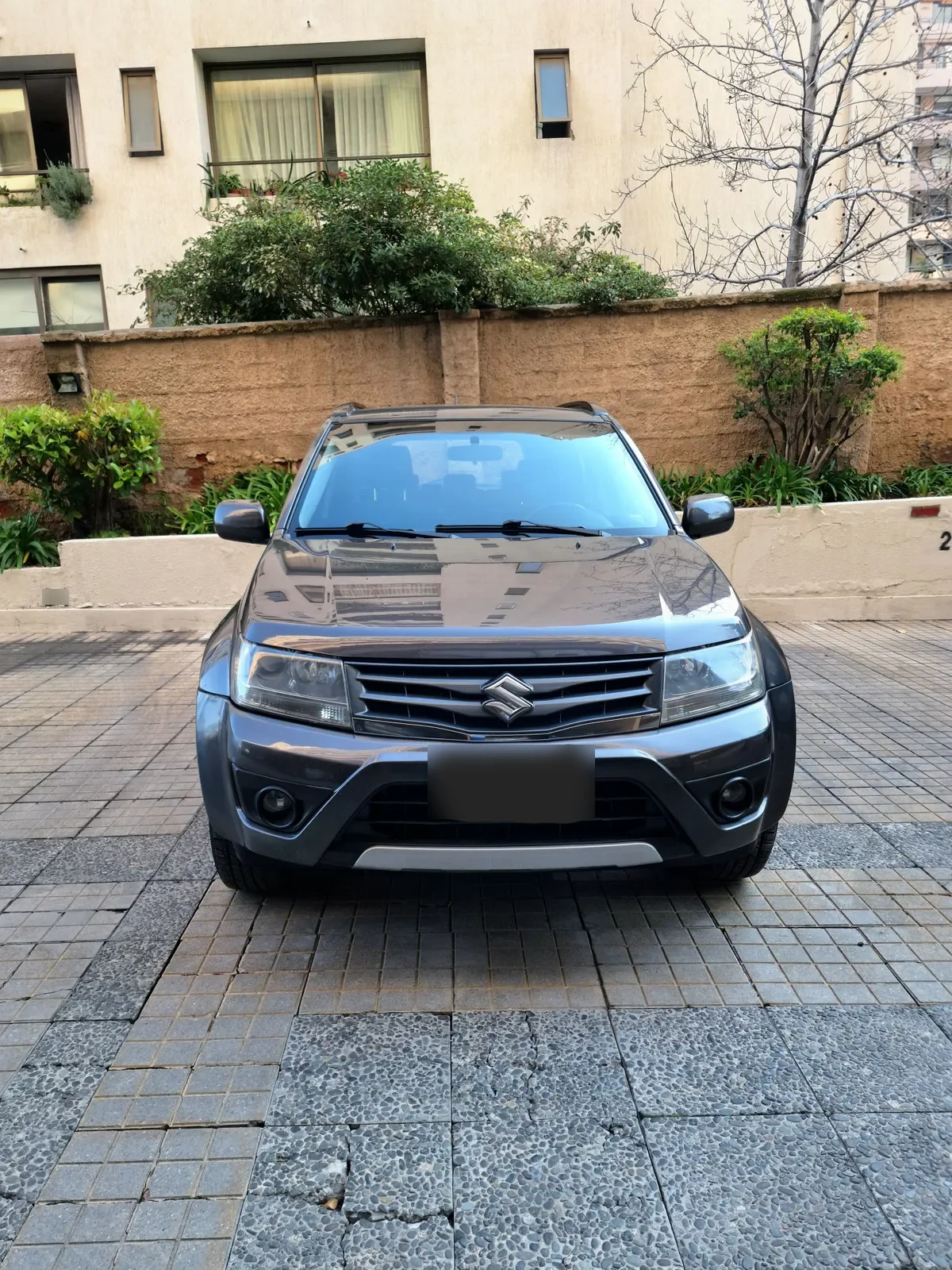 Suzuki Grand Nomade Otra año 2013