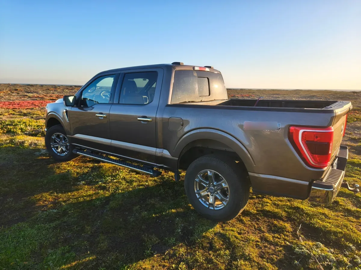 FORD F-150 5.0 Xlt Cc At 4x4 año 2024
